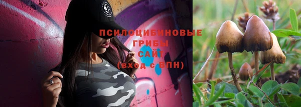 не бодяженный Армянск