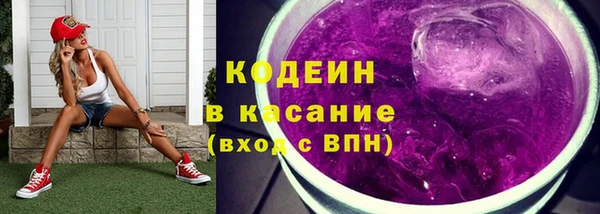 spice Арсеньев